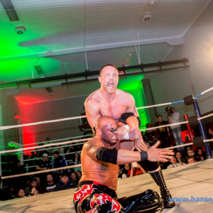 IPW_Against_the_Rules_2017_1361_