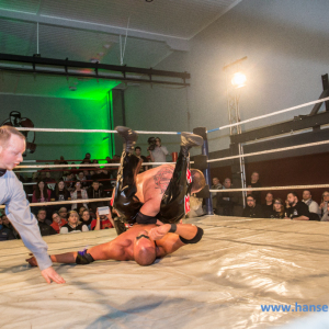 IPW_Against_the_Rules_2017_1383_