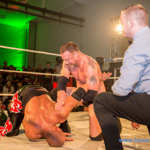 IPW_Against_the_Rules_2017_1391_