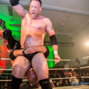 IPW_Against_the_Rules_2017_1437_