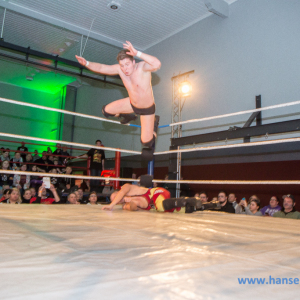 IPW_Against_the_Rules_2017_181_