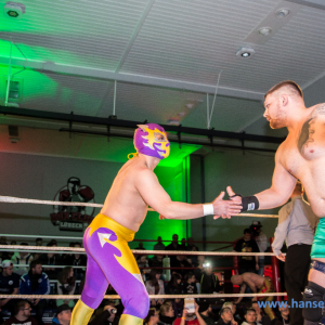 IPW_Against_the_Rules_2017_19_