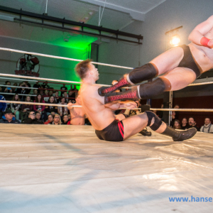 IPW_Against_the_Rules_2017_243_