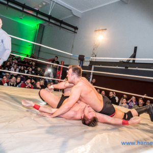 IPW_Against_the_Rules_2017_261_