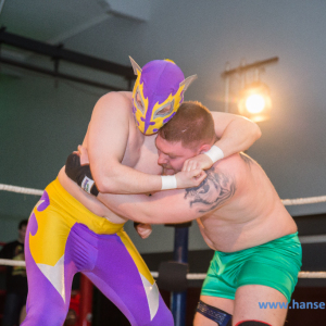 IPW_Against_the_Rules_2017_26_