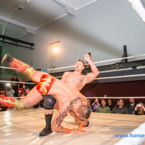 IPW_Against_the_Rules_2017_271_