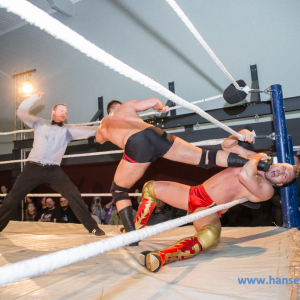 IPW_Against_the_Rules_2017_278_