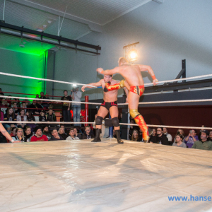 IPW_Against_the_Rules_2017_294_