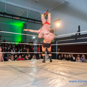 IPW_Against_the_Rules_2017_299_