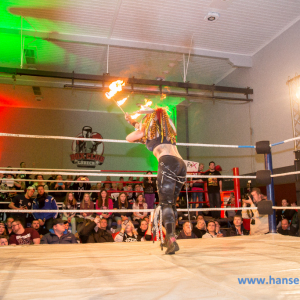 IPW_Against_the_Rules_2017_343_
