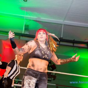 IPW_Against_the_Rules_2017_356_