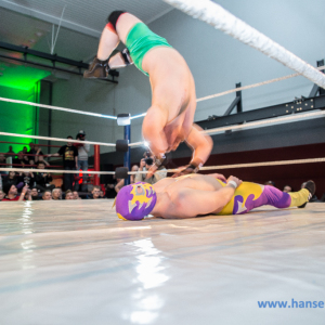 IPW_Against_the_Rules_2017_39_