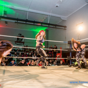 IPW_Against_the_Rules_2017_401_