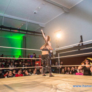 IPW_Against_the_Rules_2017_408_