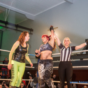 IPW_Against_the_Rules_2017_440_