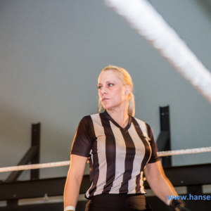 IPW_Against_the_Rules_2017_444_