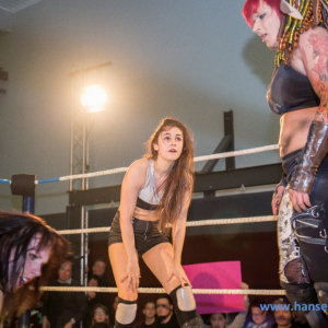 IPW_Against_the_Rules_2017_457_