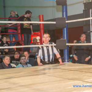IPW_Against_the_Rules_2017_462_