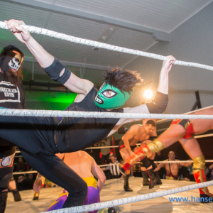 IPW_Against_the_Rules_2017_487_