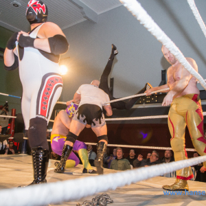 IPW_Against_the_Rules_2017_492_