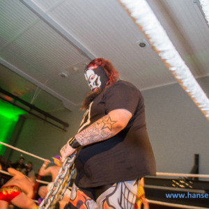 IPW_Against_the_Rules_2017_497_