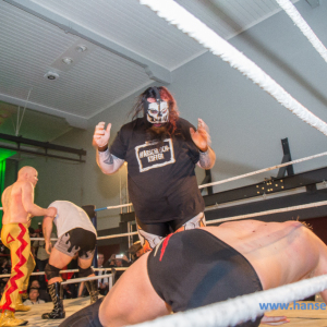 IPW_Against_the_Rules_2017_540_