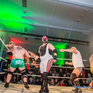 IPW_Against_the_Rules_2017_541_