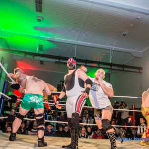IPW_Against_the_Rules_2017_542_