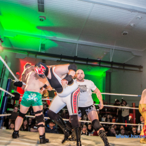 IPW_Against_the_Rules_2017_544_