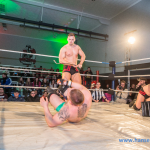 IPW_Against_the_Rules_2017_596_