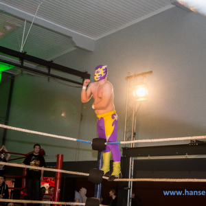 IPW_Against_the_Rules_2017_71_