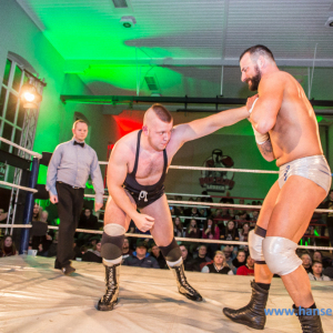 IPW_Against_the_Rules_2017_774_
