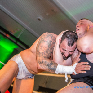 IPW_Against_the_Rules_2017_784_