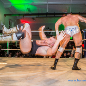 IPW_Against_the_Rules_2017_807_