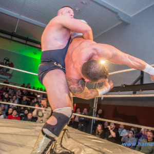 IPW_Against_the_Rules_2017_845_
