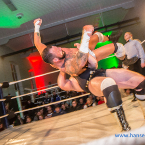 IPW_Against_the_Rules_2017_848_