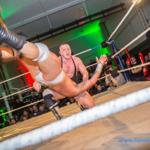 IPW_Against_the_Rules_2017_864_