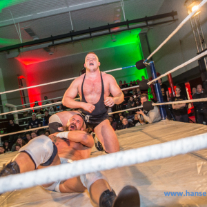 IPW_Against_the_Rules_2017_867_
