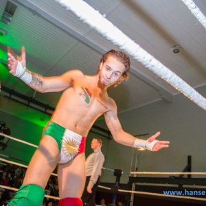 IPW_Against_the_Rules_2017_87_