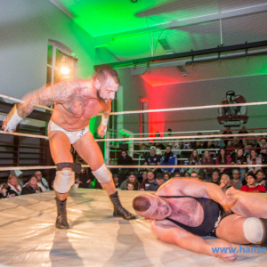 IPW_Against_the_Rules_2017_918_