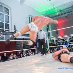 IPW_Against_the_Rules_2017_970_