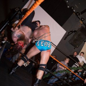 IPW_Christmas_Confused_2018-1226