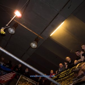 IPW_Christmas_Confused_2018-5