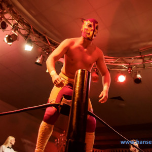 IPW_Circle_of_Champions_2017_735_