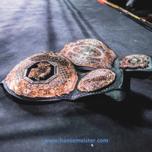 Independent-Pro-Wrestling-IPW-Full-Aggression-2022-175