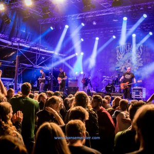 Irish_Folk_Open_Air_Poyenberg_2019-1175