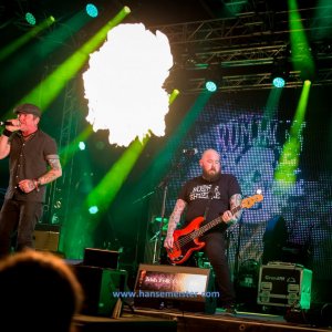 Irish_Folk_Open_Air_Poyenberg_2019-1232