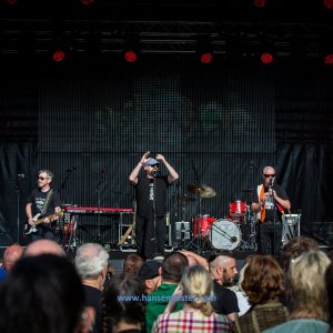 Irish_Folk_Open_Air_Poyenberg_2019-135