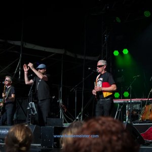 Irish_Folk_Open_Air_Poyenberg_2019-150
