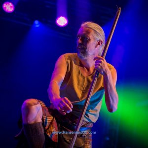 Irish_Folk_Open_Air_Poyenberg_2019-1611